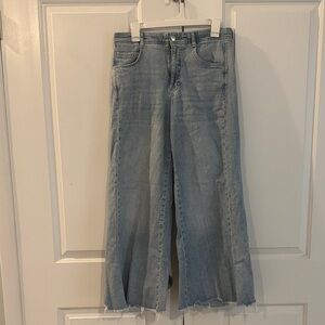 Pilcro Light Blue Flare Jeans